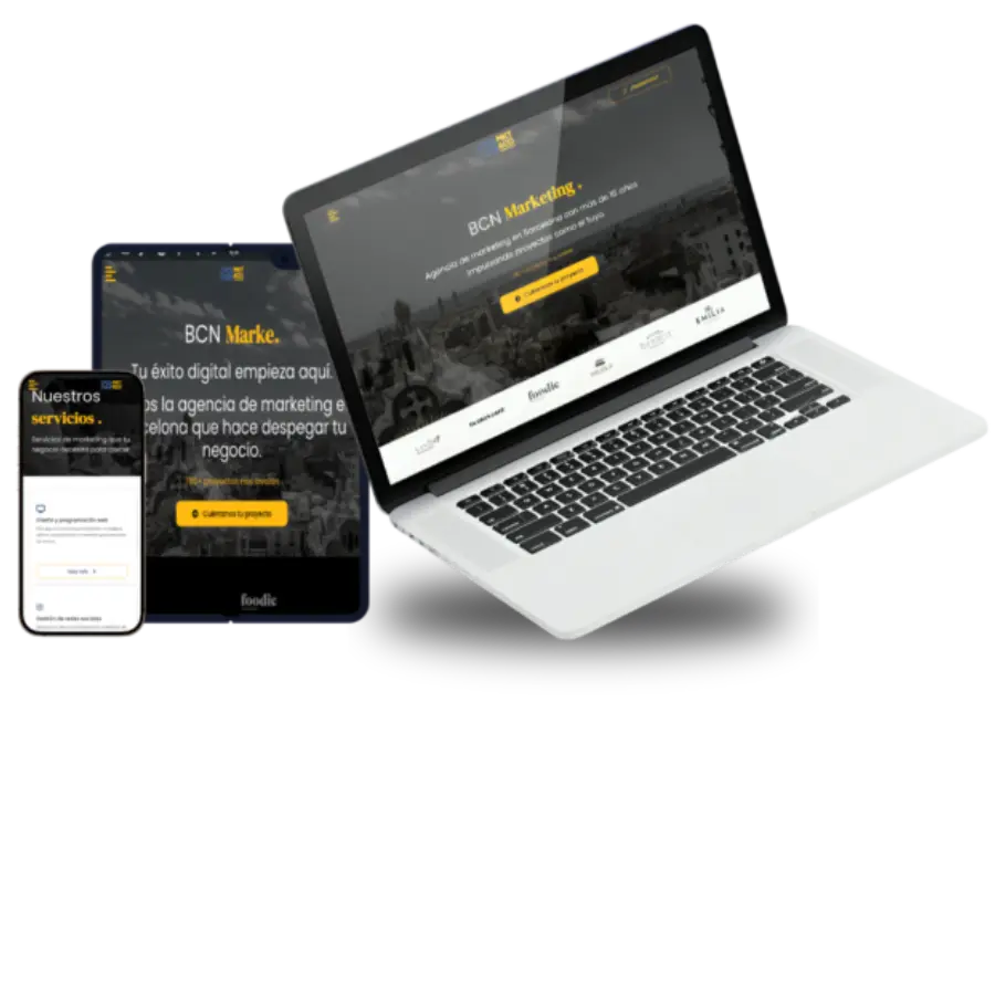 PAGINAS Y DISEÑO WEB